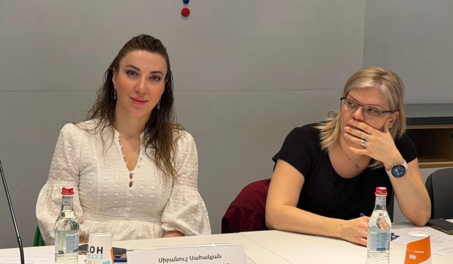Siranush Sahakyan participated in the discussion on access to justice and tax reforms